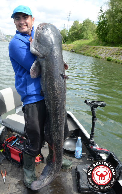 1,80 m großer Maas-Wels gefangen von Nils Master Pro-Angler Daniel Leuchtenberg im Mai 2019.